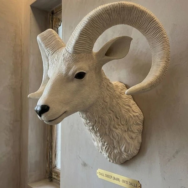 Sheep Shoulder Mount